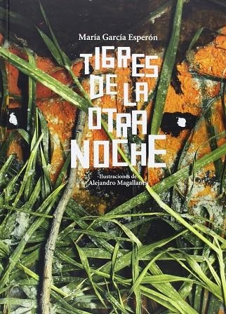 TIGRES DE LA OTRA NOCHE | 9789681682729 | GARCÍA ESPERÓN MARÍA.