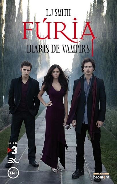 FURIA DIARIS DE VAMPIRS 3 | 9788498248715 | SMITH, LJ