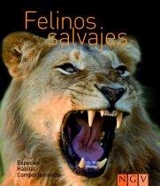 FELINOS SALVAJES | 9783625120926 | VV AA