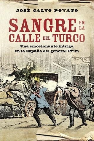 SANGRE EN LA CALLE DEL TURCO | 9788401339707 | CALVO POYATO,JOSE