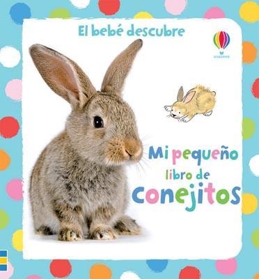 MI PEQUEÑO LIBRO DE CONEJITOS | 9781409537847 | VARIOS