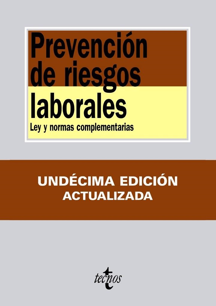 PREVENCION DE RIESGOS LABORALES ED 11 | 9788430953776 | AA.VV