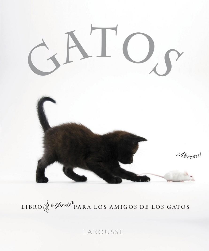 GATOS LIBROS PARA LOS AMIGOS DE LOS GATOS | 9788480169349 | A.A.V.V.