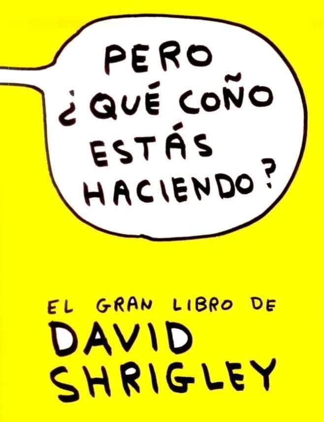 PERO QUE COÑO ESTAS HACIENDO | 9788493874520 | SHRIGLEY, DAVID