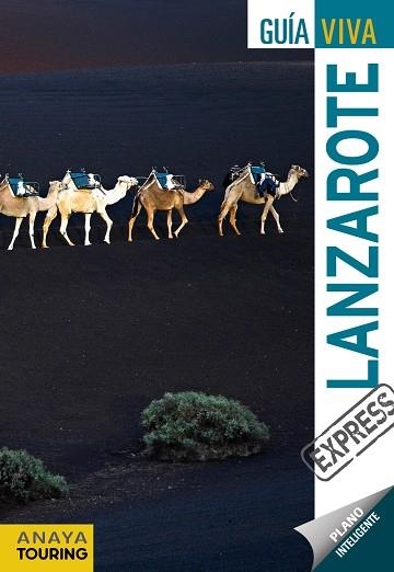 LANZAROTE GUIA VIVA 2012 | 9788499352725 | MARTÍNEZ I EDO, XAVIER