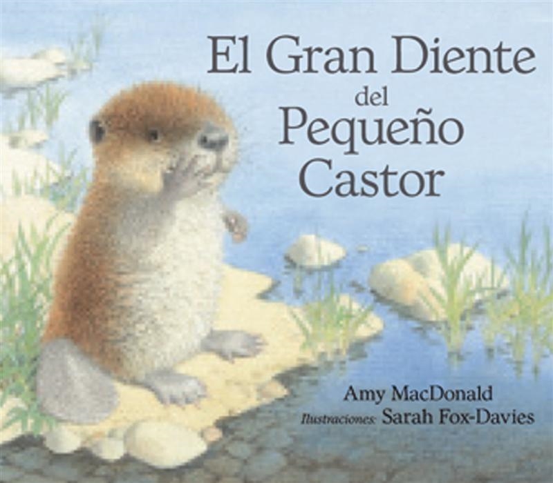 GRAN DIENTE DEL PEQUEÑO CASTOR, EL | 9788493933951 | MC DONALD, AMI / FOX DAVIES,SARAH