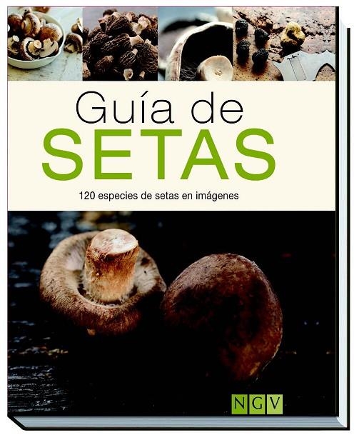 GUIA DE SETAS | 9783771600099 | AAVV