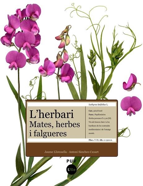 HERBARI MATES HERBES I FALGUERES, L' | 9788447531905 | LLISTOSELLA - SANCHEZ - CUXART