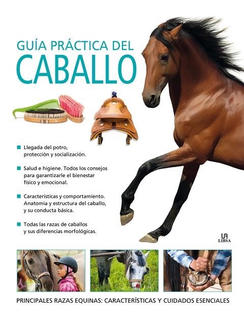 GUIA PRACTICA DEL CABALLO | 9788466225748 | GORDON WATSON, MARY/LYON, RUSSELL/MONTGOMERY, SUE