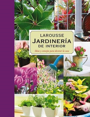 JARDINERIA DE INTERIOR LAROUSSE | 9788480169455 | AA.VV.