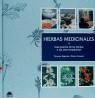 HIERBAS MEDICINALES | 9788492252312 | KIRCHER, TAMARA / LOWERY, PENNY