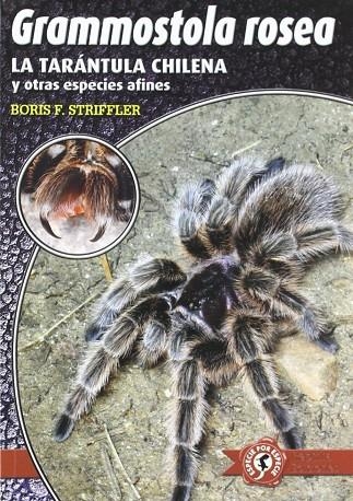 GRAMMOSTOLA ROSEA : LA TARANTULA CHILENA Y OTRAS ESPECIES AF | 9788493413484 | STRIFFLER, BORIS F.