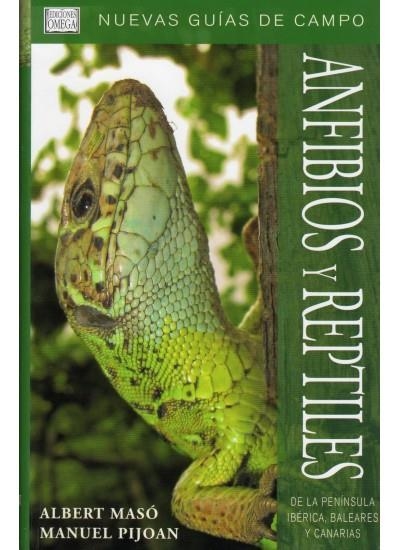 ANFIBIOS Y REPTILES DE LA PENINSULA, BALEARES Y CANARIAS | 9788428213684 | MASO, ALBERT