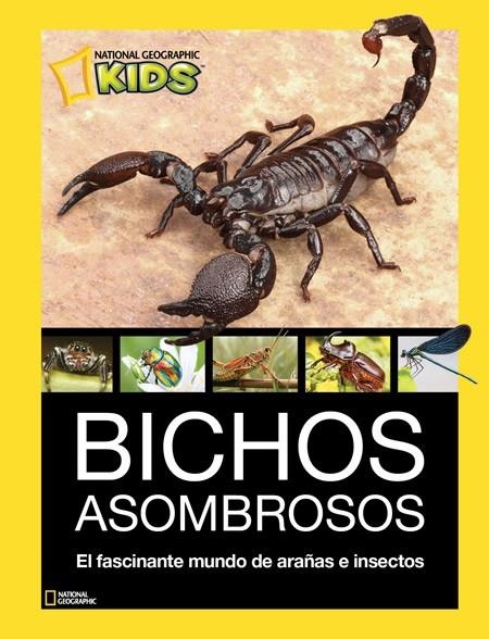 BICHOS ASOMBROSOS | 9788482986098