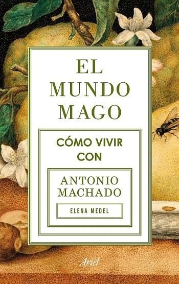 MUNDO MAGO, EL | 9788434422353 | ELENA MEDEL