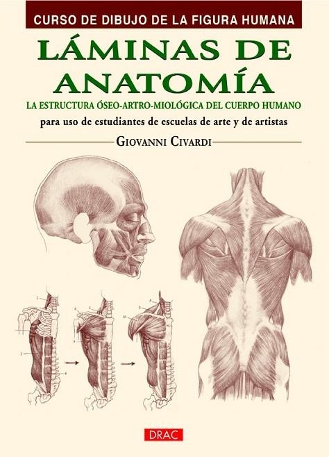 LÁMINAS DE ANATOMÍA | 9788498744798 | CIVARDI, GIOVANNI