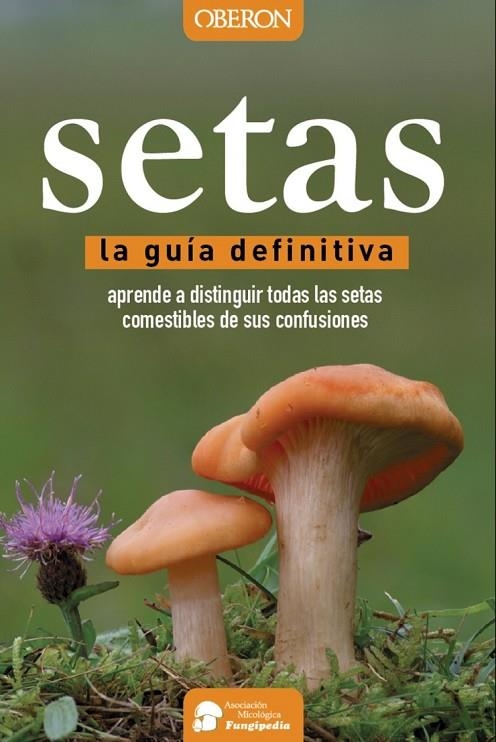 SETAS | 9788441537842 | CALVO PÉREZ, AITOR/CALVO PÉREZ, JAVIER/ROMÁN ECHEVARRÍA, JUAN ANDRÉS/IBARRETXE IRAGORRI, RICARDO