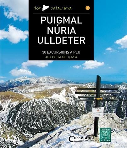 PUIGMAL  NÚRIA ULLDETER | 9788490344743 | BROSEL I JORDÀ, ALFONS