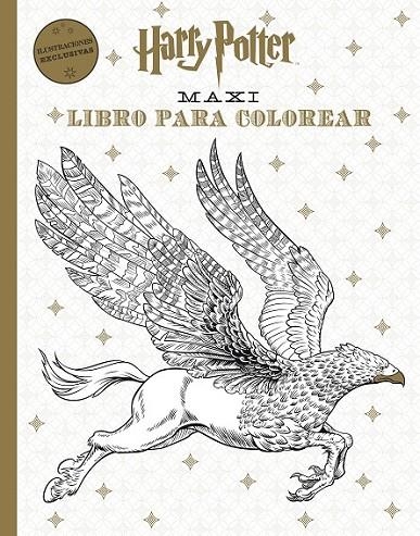 HARRY POTTER MAXI LIBRO PARA COLOREAR | 9788868219512 | VARIOS AUTORES