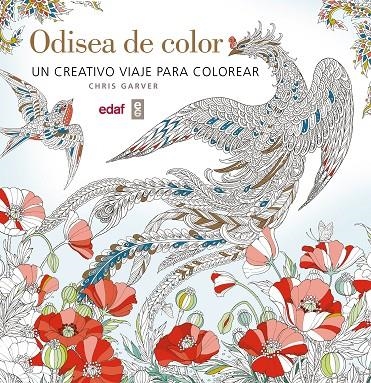 ODISEA DE COLOR | 9788441437241