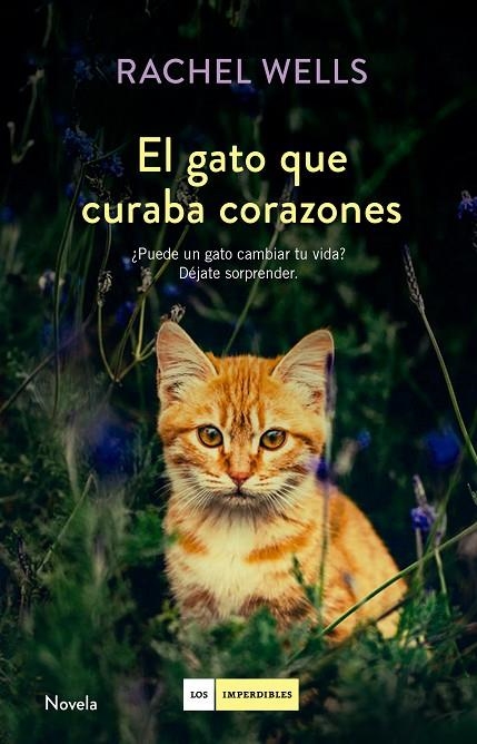 EL GATO QUE CURABA CORAZONES | 9788416634477 | RACHEL WELLS