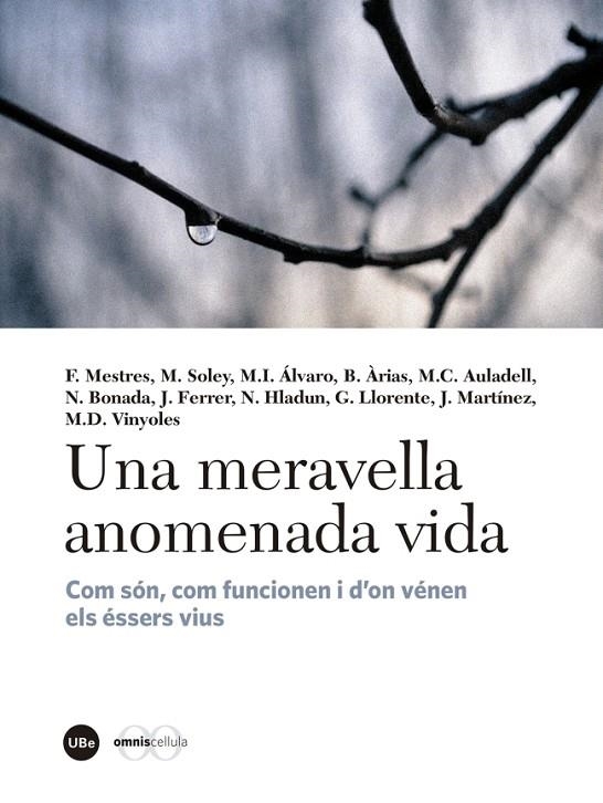 UNA MERAVELLA ANOMENADA VIDA | 9788447540310 | AA.VV.