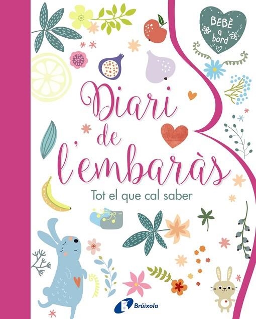 DIARI DE L' EMBARÀS. TOT EL QUE CAL SABER | 9788499067797 | VV. AA.