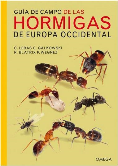 GUÍA DE CAMPO DE LAS HORMIGAS DE EUROPA OCCIDENTAL | 9788428216630 | LEBAS, CLAUDE / GALKOWSKI, CHRISTOPHE