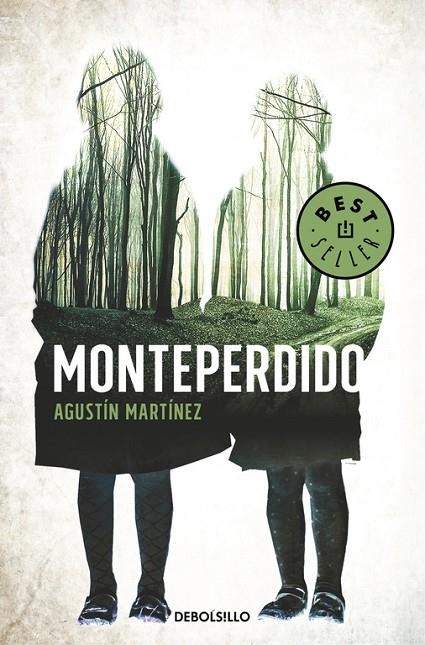 MONTEPERDIDO | 9788466340328 | AGUSTÍN MARTÍNEZ