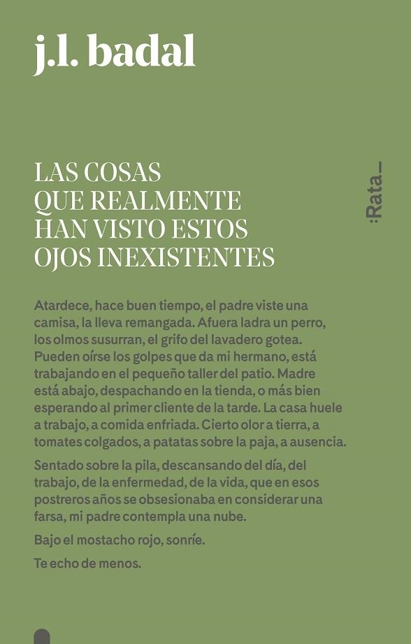 LAS COSAS QUE REALMENTE HAN VISTO ESTOS OJOS INEXISTENTES | 9788416738151 | BADAL, JOSEP LLUÍS