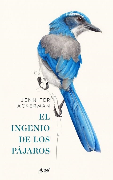 PACK EL INGENIO DE LOS PÁJAROS | 9788434427167 | ACKERMAN, JENNIFER