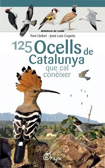 125 OCELLS DE CATALUNYA | 9788490346747 | LLOBET FRANÇOIS, TONI / COPETE, JOSÉ LUIS