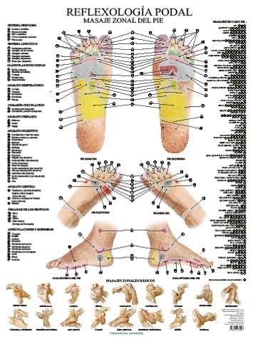 LÁMINAS. REFLEXOLOGÍA PODAL (N.E.) | 9788416972418 | JIMÉNEZ HERNÁNDEZ, MIGUEL