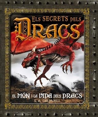 SECRETS DELS DRACS, ELS | 9788480169967 | VVAA