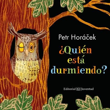 QUIÉN ESTÁ DURMIENDO? | 9788426145178 | HORÁCEK, PETR