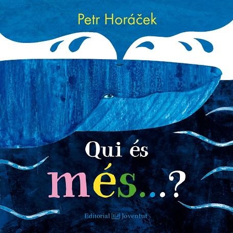 QUI ÉS MÉS?? | 9788426145208 | HORÁCEK, PETR