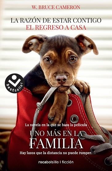 LA RAZÓN DE ESTAR CONTIGO. EL REGRESO A CASA | 9788416859351 | CAMERON, W. BRUCE