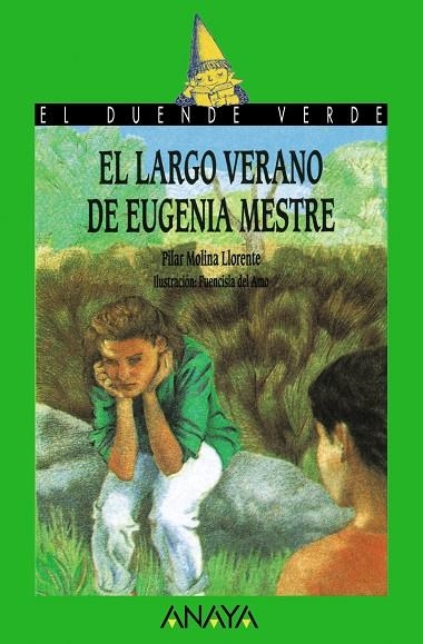 LARGO VERANO DE EUGENIA MESTRE.EL | 9788420727905 | PILAR MOLINA