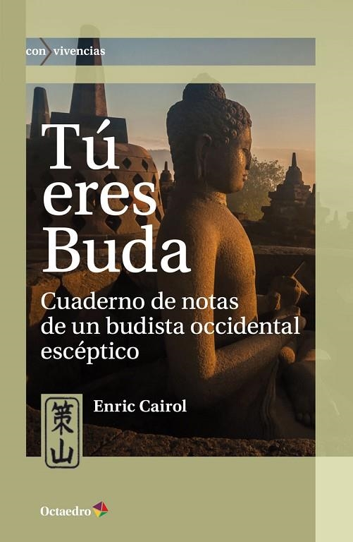 TÚ ERES BUDA | 9788417667269 | CAIROL RAMON, ENRIC