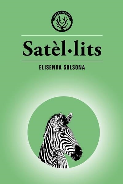 SATÈL·LITS | 9788494917073 | SOLSONA MARGARIT, ELISENDA