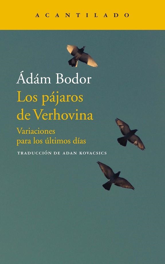 LOS PÁJAROS DE VERHOVINA | 9788417346706 | ÁDÁM BODOR