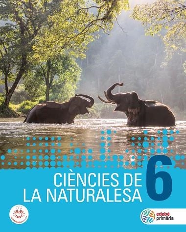 CIÈNCIES DE LA NATURALESA 6 | 9788468343457 | EDEBÉ, OBRA COLECTIVA