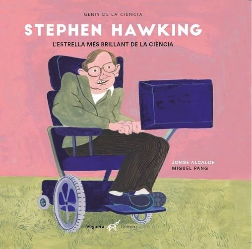 STEPHEN HAWKING | 9788417137397 | ALCALDE LAGRANJA, JORGE