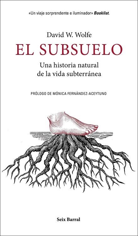 EL SUBSUELO | 9788432235603 | WOLFE, DAVID W.