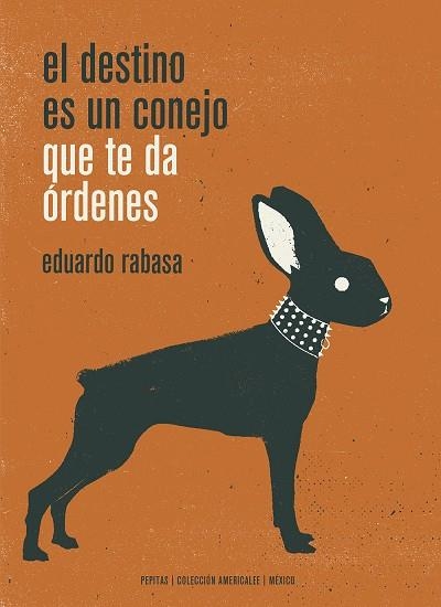 EL DESTINO ES UN CONEJO QUE TE DA ÓRDENES | 9788417386498 | RABASA SALINAS, EDUARDO