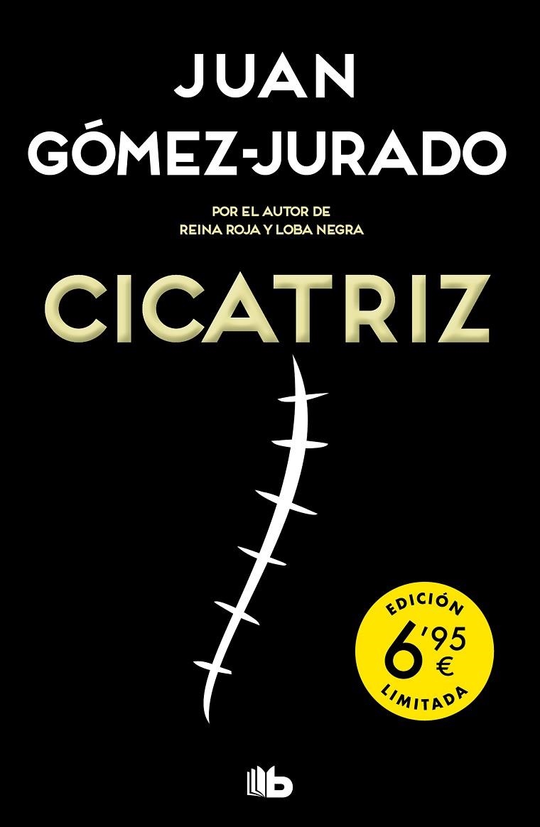 CICATRIZ | 9788413141657 | GÓMEZ-JURADO, JUAN