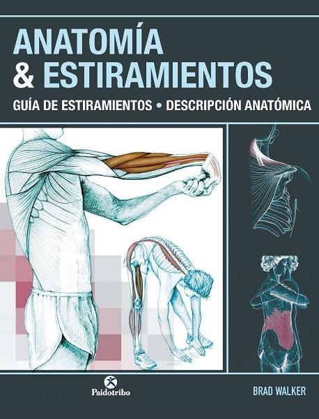 ANATOMIA Y ESTIRAMIENTOS | 9788499100012 | WALKER, BRAD