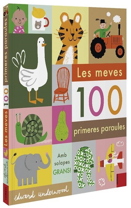 LES MEVES 100 PRIMERES PARAULES | 9788491015932 | UNDERWOOD, EDWARD