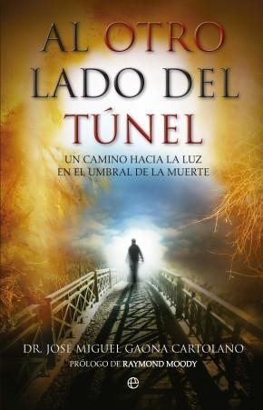 AL OTRO LADO DEL TUNEL | 9788499702643 | GAONA, JOSE MIGUEL