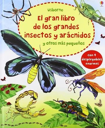 GRAN LIBRO DE GRANDES INSECTOS Y ARACNIDOS | 9781409557890 | AAVV